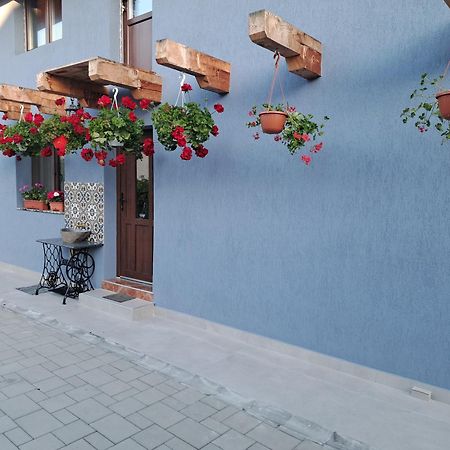 Casa Rustica Saceleana 빌라 외부 사진