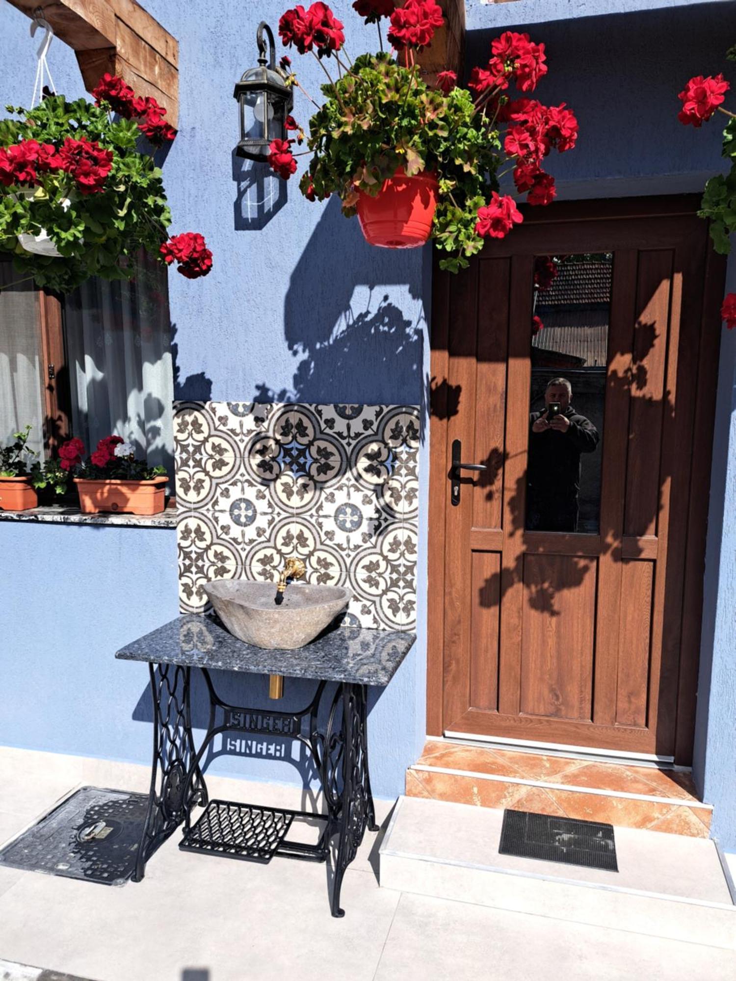 Casa Rustica Saceleana 빌라 외부 사진