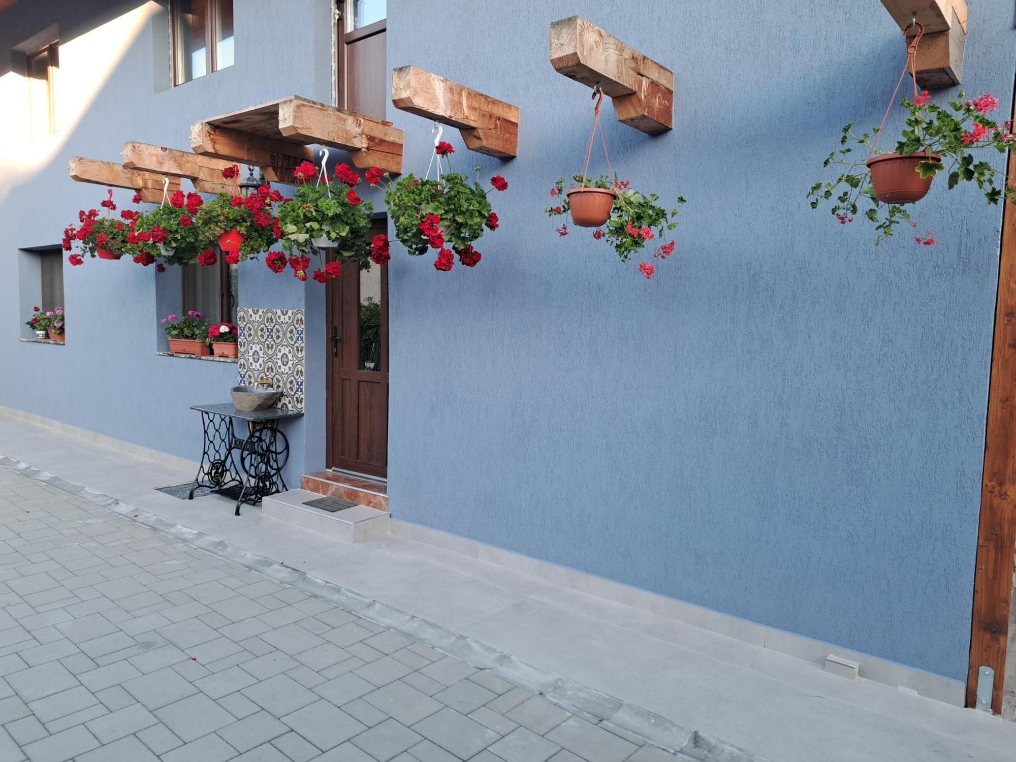 Casa Rustica Saceleana 빌라 외부 사진